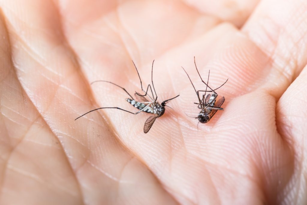 ilustrasi (internet)