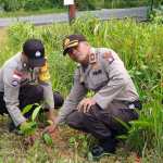 Kapolsek Bintan Utara, Kompol Arbaridi Jumhur, bersama anggotanya menanam pohon di markas dan asrama Polsek Bintan Utara di Tanjunguban, Minggu (5/1) pagi. (okialexander/haluankepri.com)