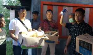 (dedi/haluankepri.com)