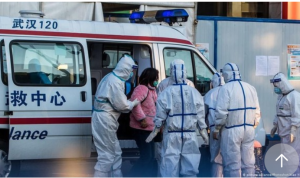 Screenshot_2020-02-13-17-46-53-744_com.google.android.apps.searchlite