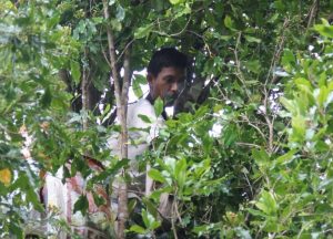 Cengkeh Natuna menjadi hasil bumi jadi harapan pendapatan warga pada awal tahun depan. (fatur/haluankepri.com) Cengkeh Natuna menjadi hasil bumi jadi harapan pendapatan warga pada awal tahun depan. (fatur/haluankepri.com)