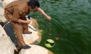 Air laut di Padang berwarna hiaju sejak beberapa waktu terakhir. (internet)