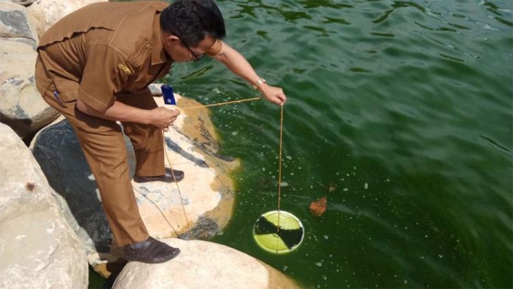 Air laut di Padang berwarna hiaju sejak beberapa waktu terakhir. (internet)
