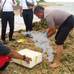 (boby/haluankepri.com)