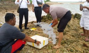 (boby/haluankepri.com)