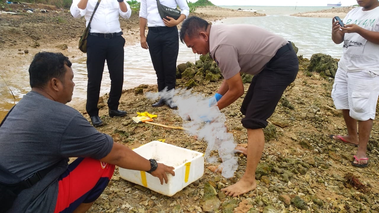 (boby/haluankepri.com)