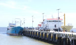 (Fatur/haluankepri.com)