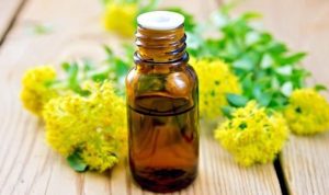 Minyak nilam. (internet)