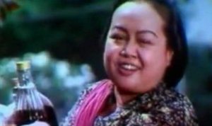 Ratmi B29 (internet)