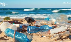 Sampah plastik. (internet)