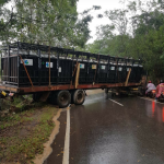 Screenshot_2019-12-10-15-27-05-164_com.whatsapp