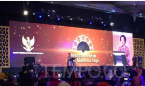 Screenshot_2019-12-22-15-32-23-216_com.google.android.apps.searchlite