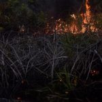 ilustrasi (internet)